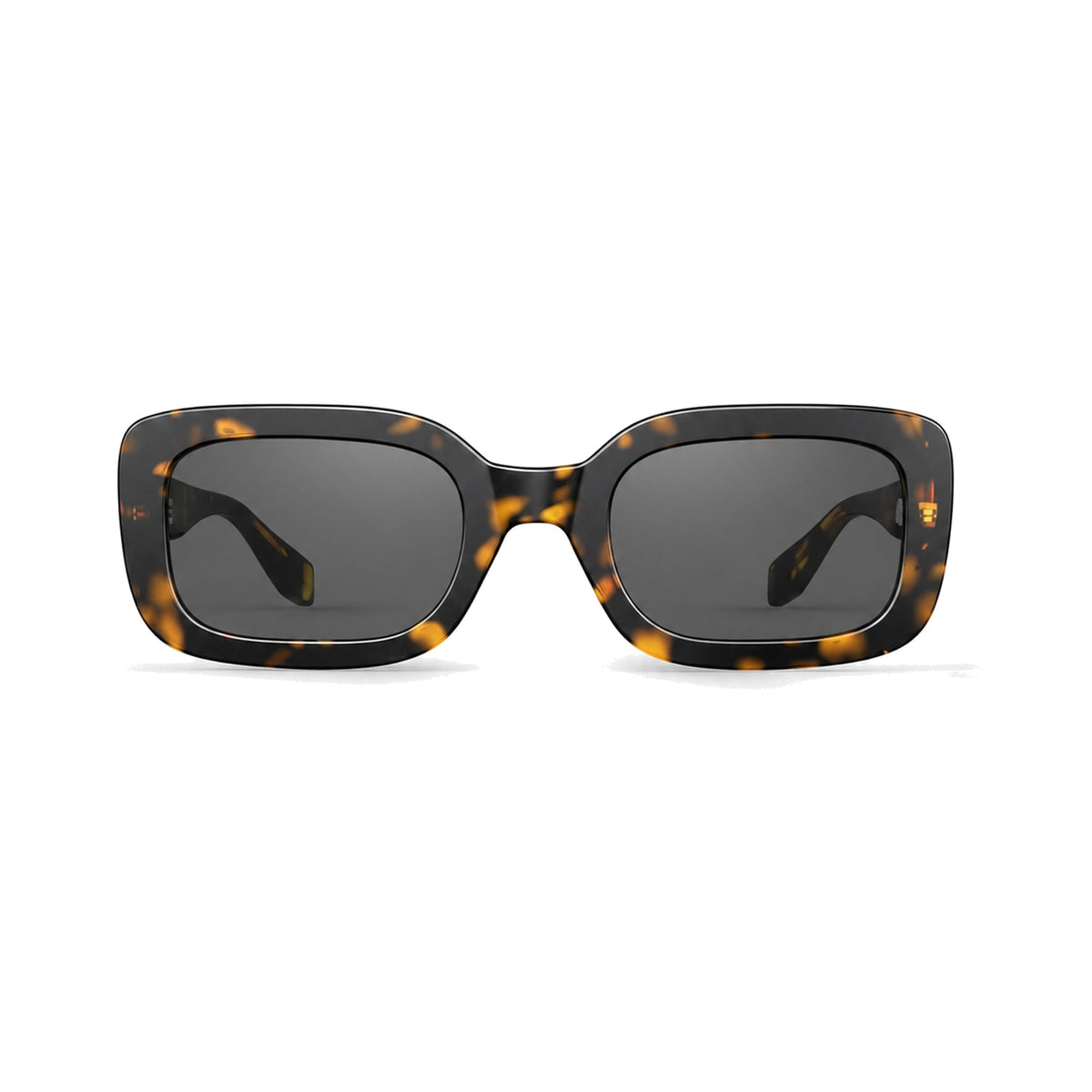 Antoinette Tortoise Sun eyeglasses front view
